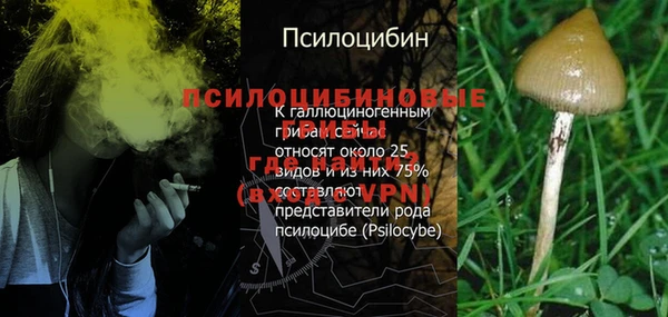 альфа пвп Инта
