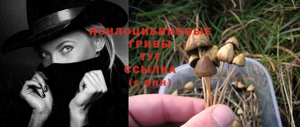 тгк Иннополис