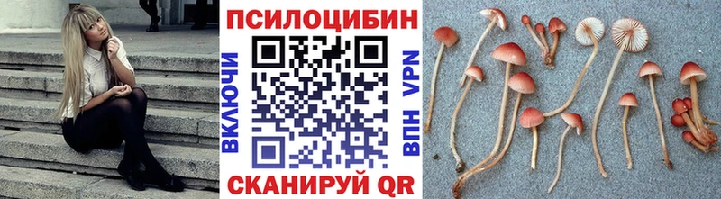 Купить  Мариинский Посад  Галлюциногенные грибы MAGIC MUSHROOMS 